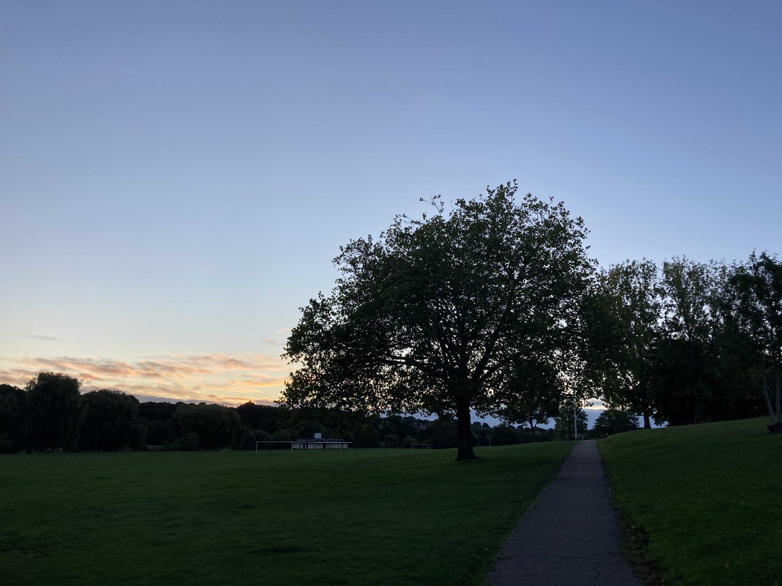 Morning walk 21/09