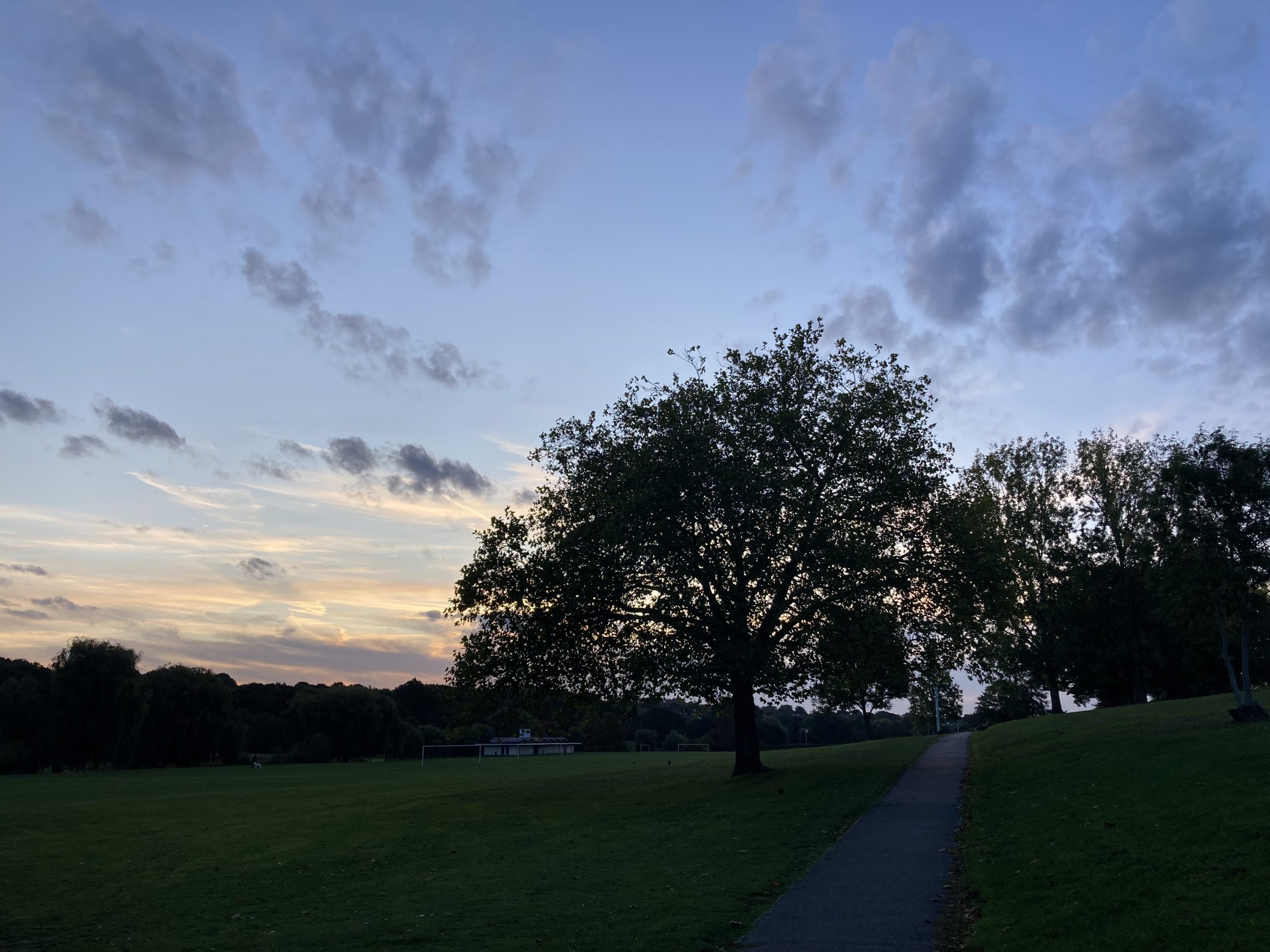 Morning walk 25/09