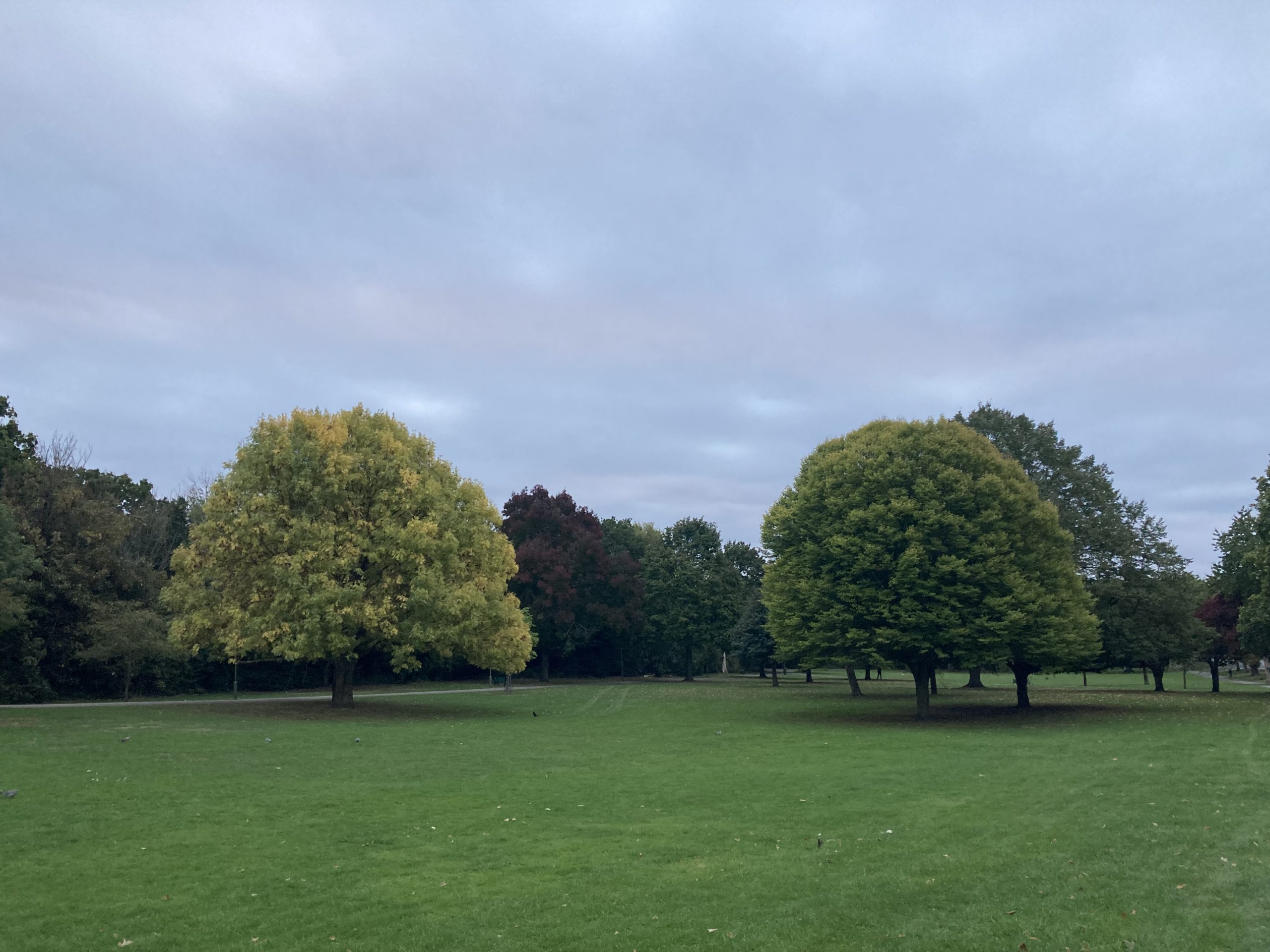 Morning walk 26/09