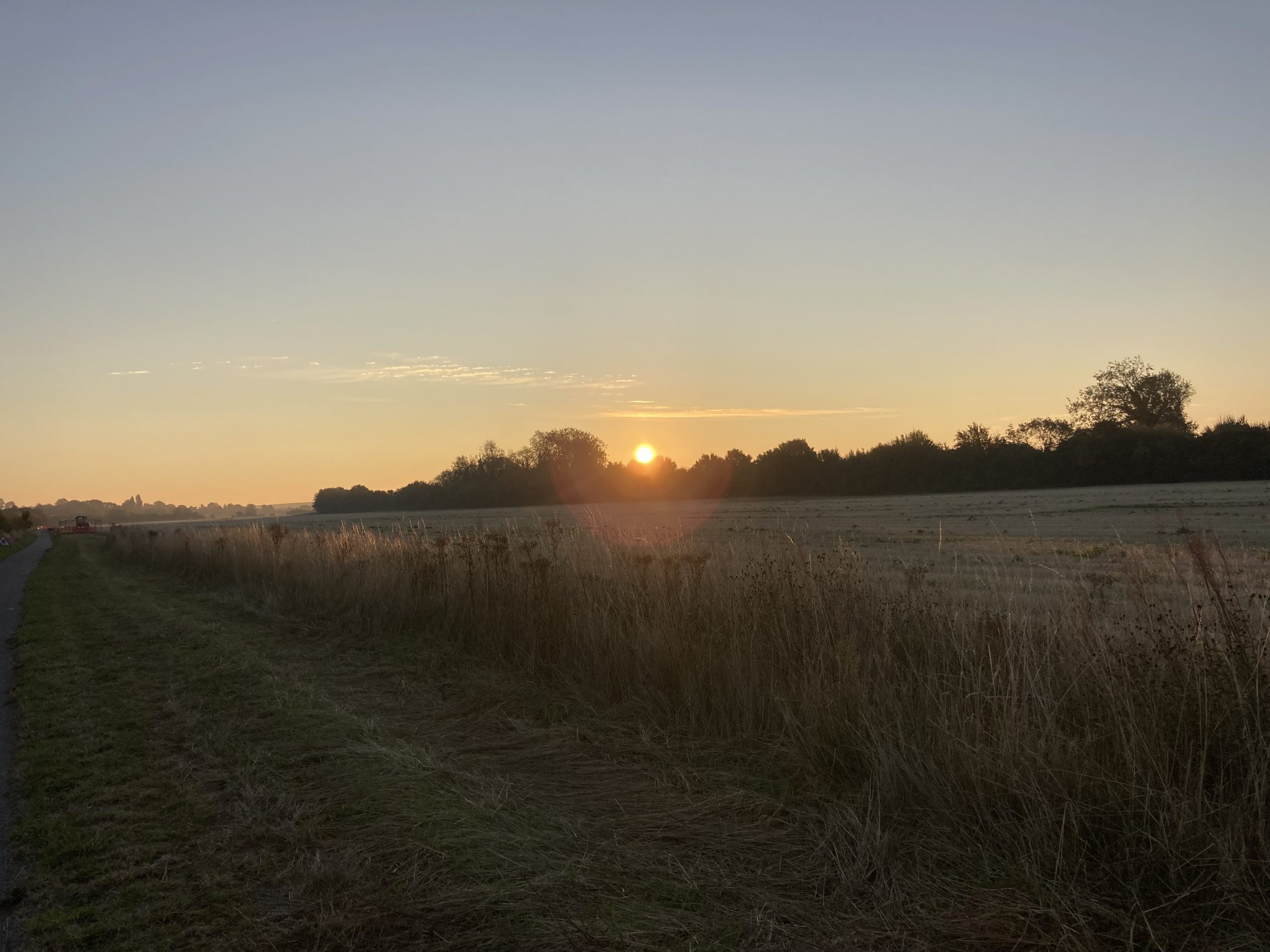 Morning Walk 27/09