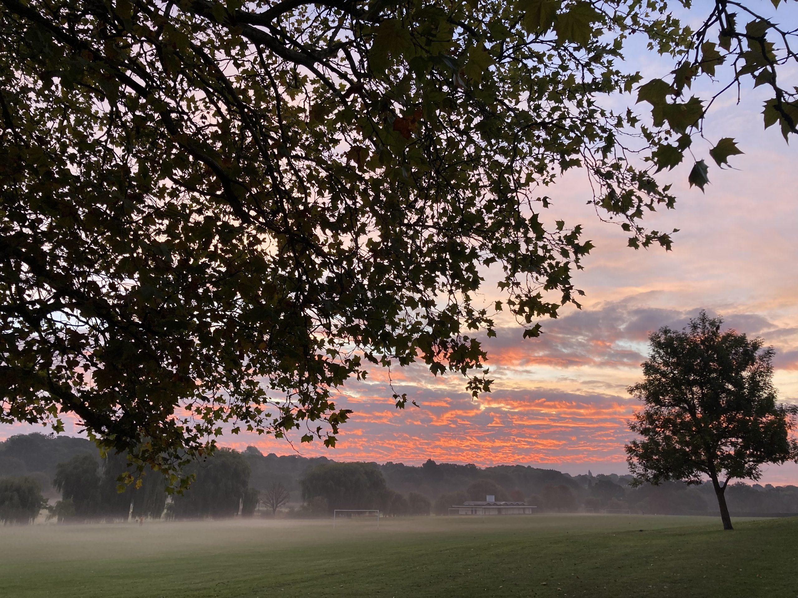 Morning walk 28/09