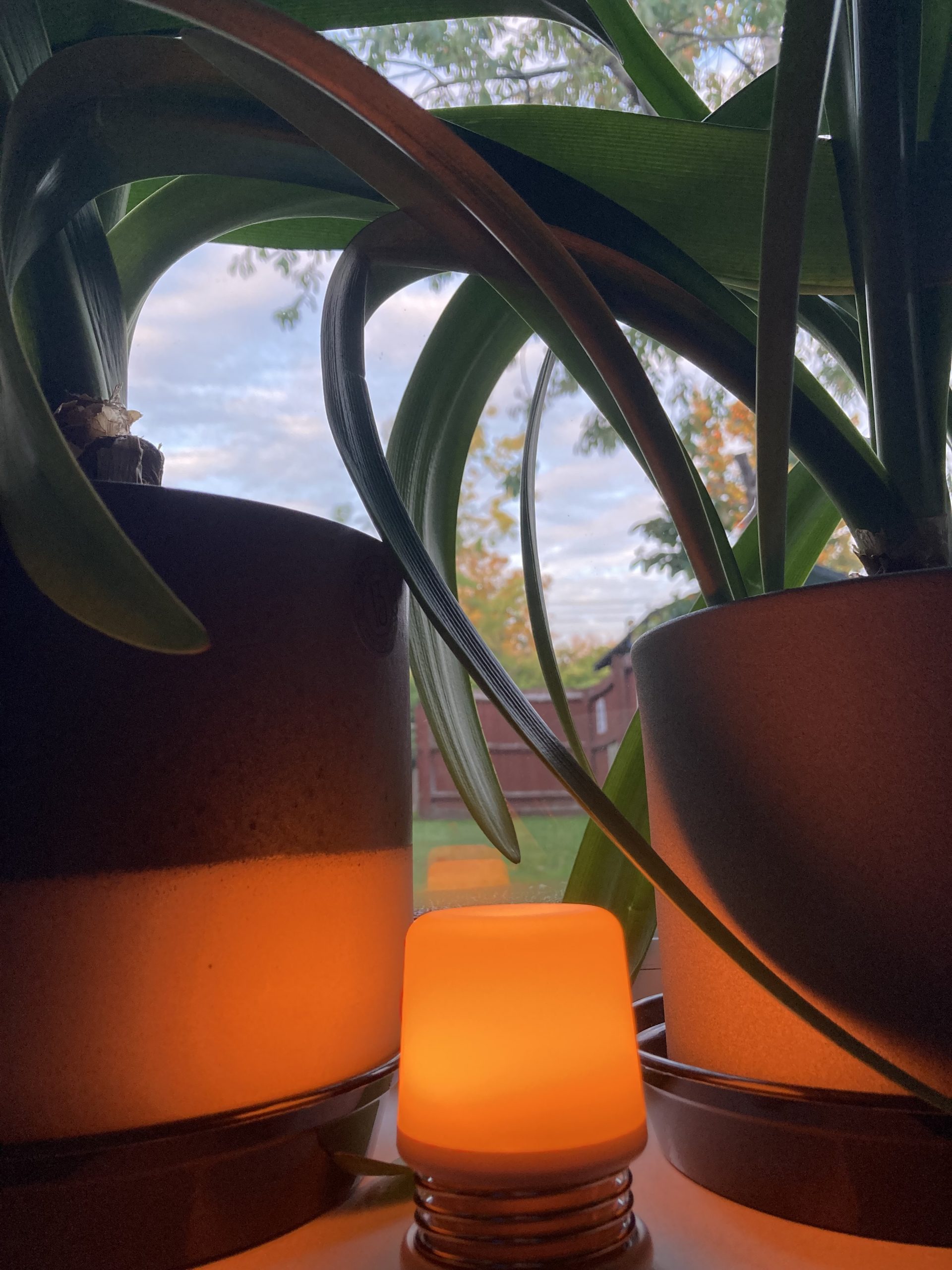 View from my mat 30/09