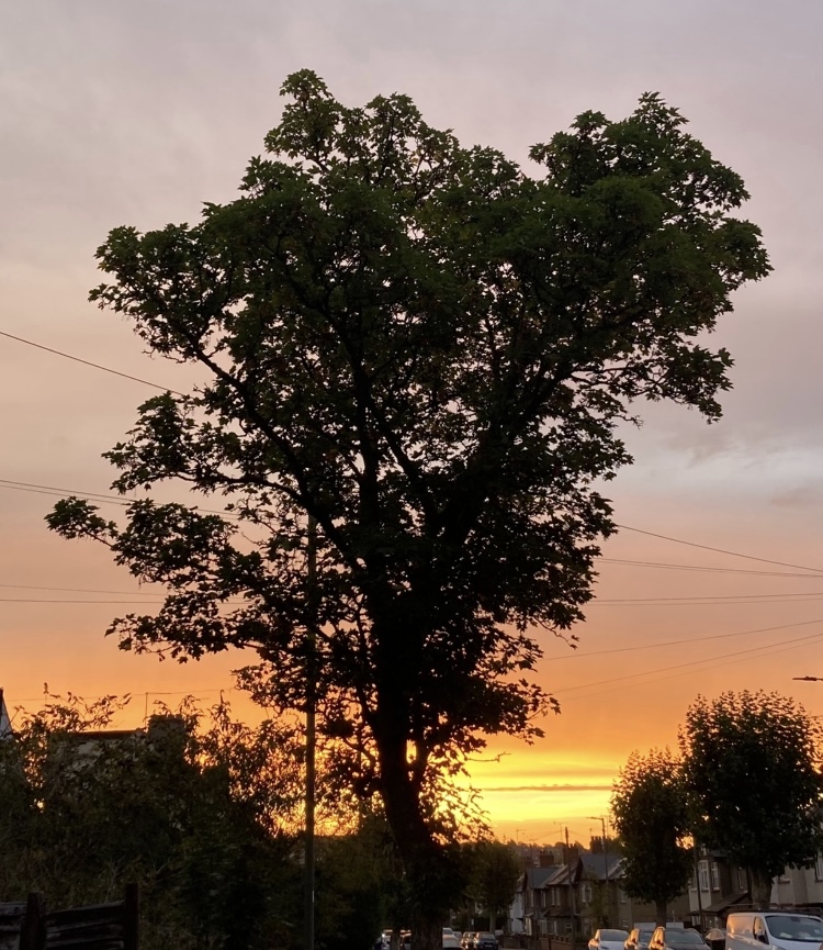 Morning walk 01/10